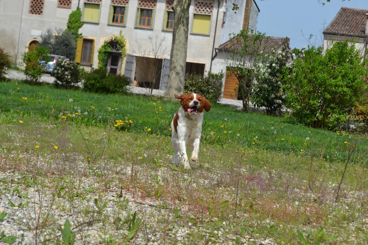 Agriturismo Otto Ducati D'Oro Isola della Scala Buitenkant foto